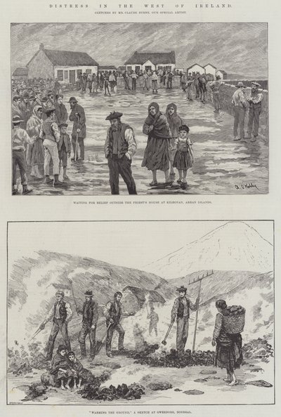 Angustia en el oeste de Irlanda de Aloysius O